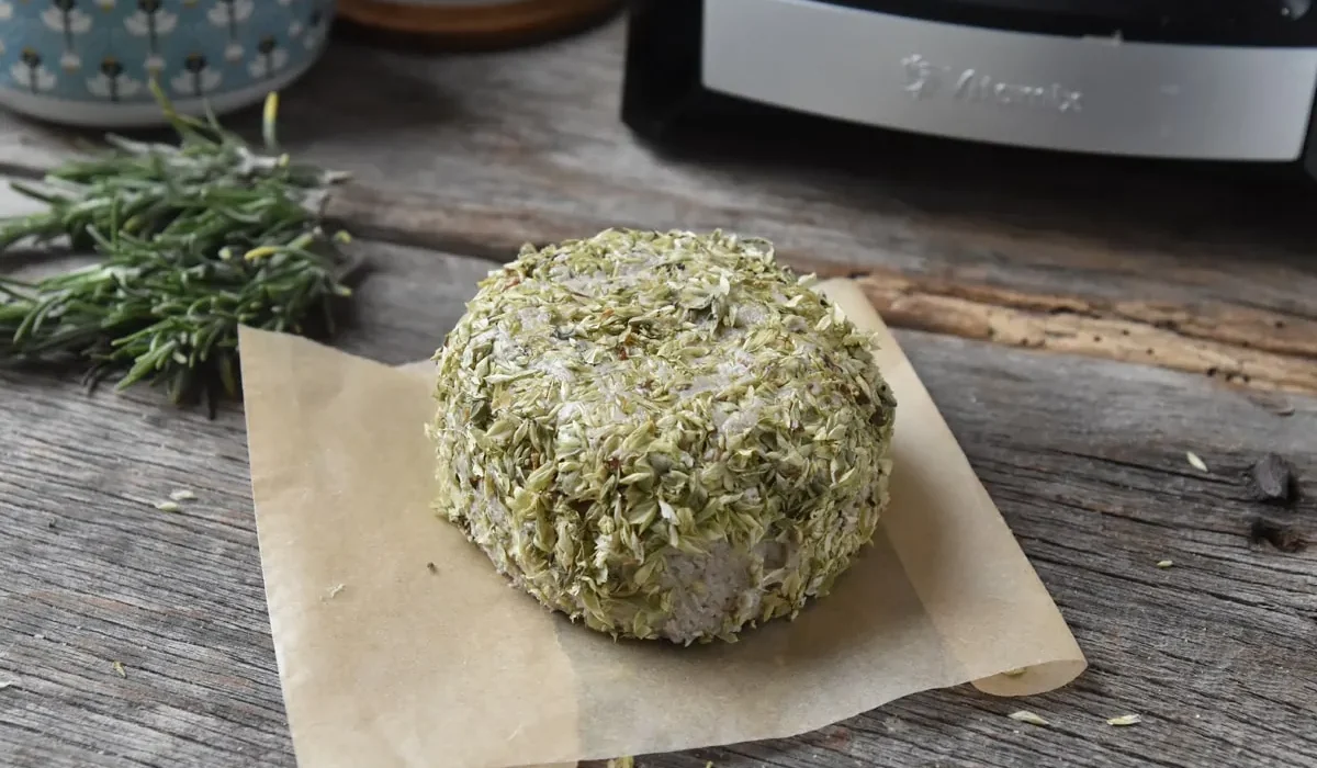 como-hacer-queso-vegano-fermentado-des