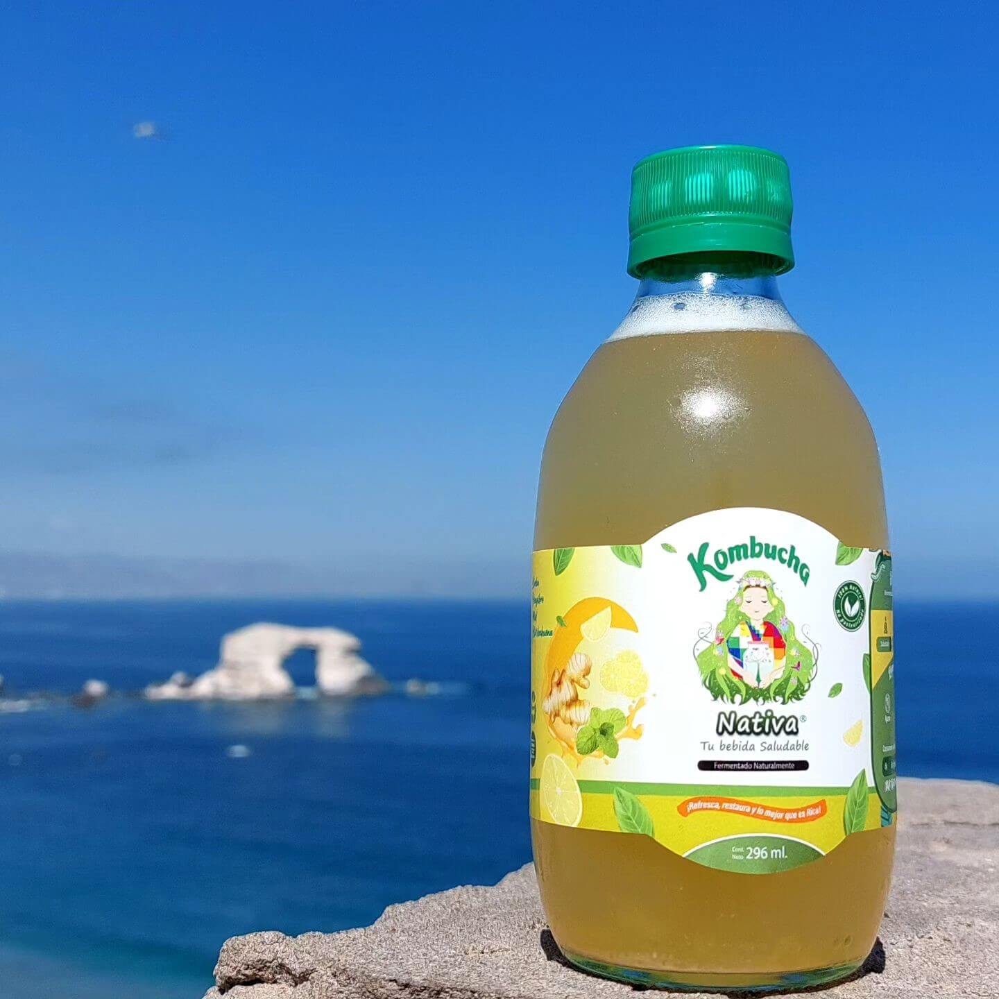 Kombucha Antofagasta