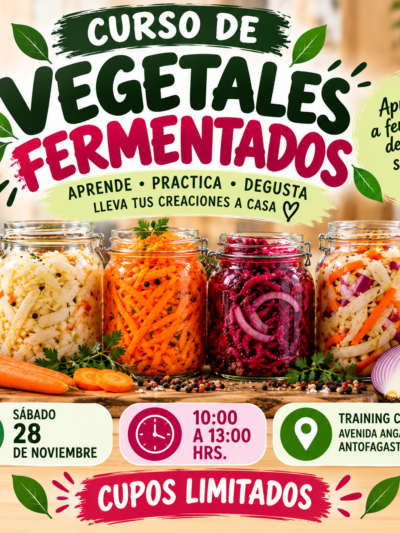 CURSO DE VEGETALES FERMENTADOS
