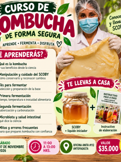 CURSO DE KOMBUCHA